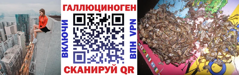 купить наркотики цена  Сычёвка  Галлюциногенные грибы мицелий 